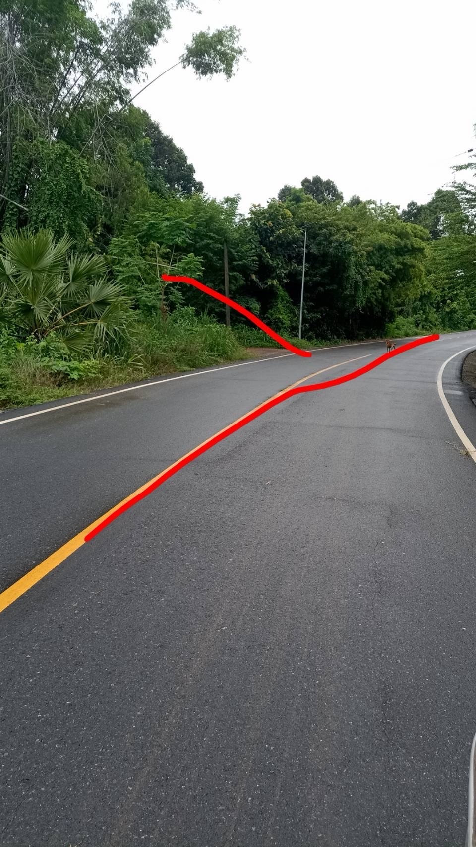 Land for sale at special price – รูปที่ 4