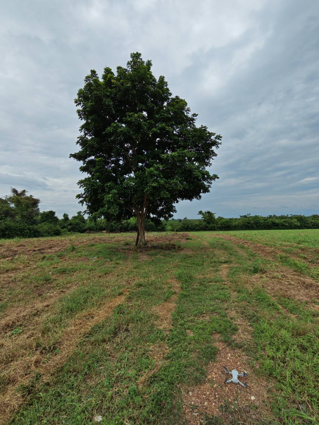 Land for sale with mountain view, good weather, beautiful view. – รูปที่ 4