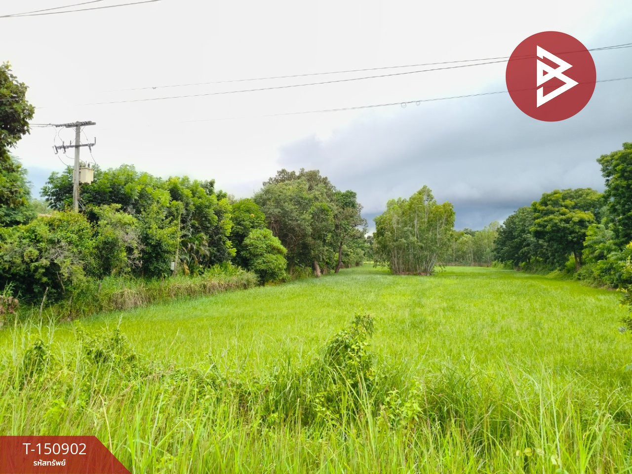ขายที่ดิน เนื้อที่ 3 ไร่ 2 งาน 80 ตร.วา ธวัชบุรี ร้อยเอ็ด ขายที่ดิน เนื้อที่ 3 ไร่ 2 งาน 80 ตร.วา ธวัชบุรี ร้อยเอ็ด