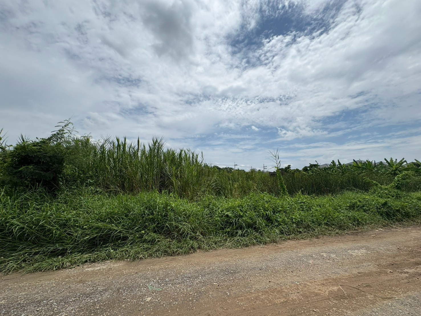 แปลงสวยหายาก เหมาะสร้างบ้านอยู่อาศัย!! ขายที่ดินเปล่า 90 ตรว. เลียบคลองทวีวัฒนา แหล่งอยู่อาศัยไม่แออัด ผังเมืองสีเขียว เข้าออกได้ทั้งถนนบรมราชชนนี และถนนศาลายา  ราคาพิเศษ!  – รูปที่ 2