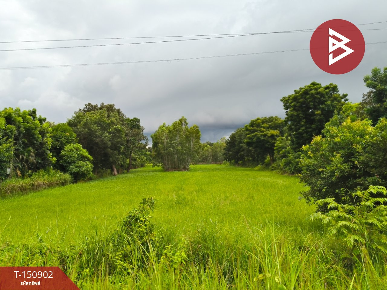 ขายที่ดิน เนื้อที่ 3 ไร่ 2 งาน 80 ตร.วา ธวัชบุรี ร้อยเอ็ด – รูปที่ 2
