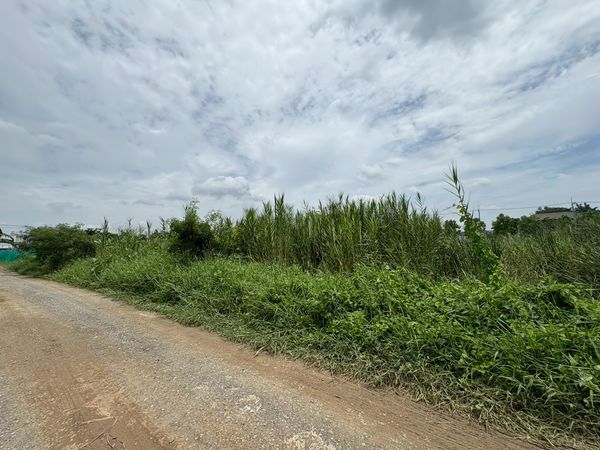 แปลงสวยหายาก เหมาะสร้างบ้านอยู่อาศัย!! ขายที่ดินเปล่า 90 ตรว. เลียบคลองทวีวัฒนา แหล่งอยู่อาศัยไม่แออัด ผังเมืองสีเขียว เข้าออกได้ทั้งถนนบรมราชชนนี และถนนศาลายา  ราคาพิเศษ! 
