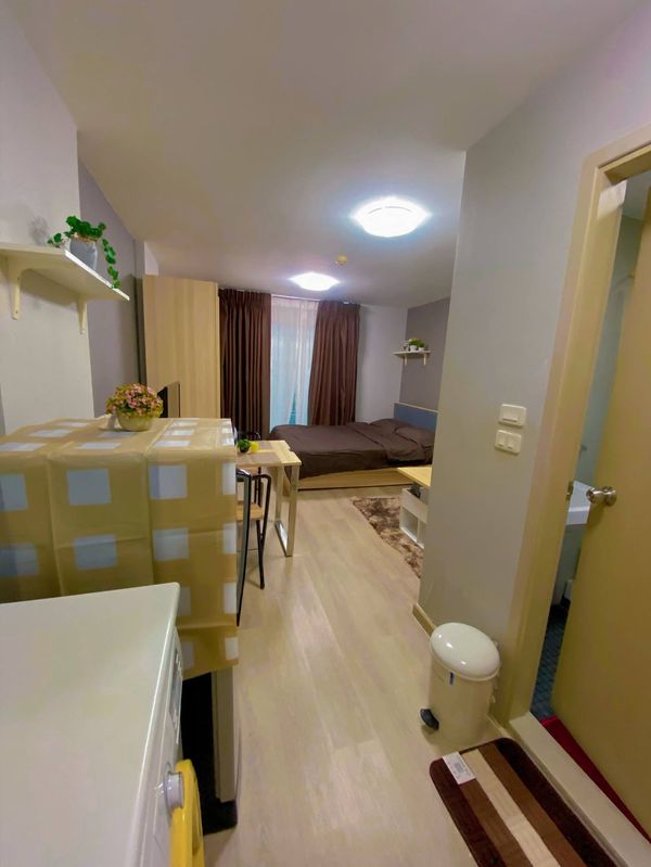 ห้องมุมวิวสระว่ายน้ำ ลมดี ราคาดี!!⭐Elio Del Ray Sukhumvit 64 (เอลลิโอ เดล เรย์ สุขุมวิท 64)