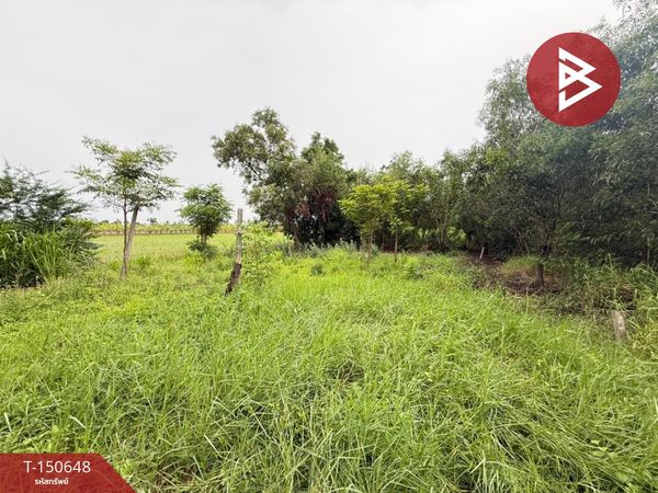 Land for sale, area 50 sq m, Lat Bua Luang, Phra Nakhon Si Ayutthaya