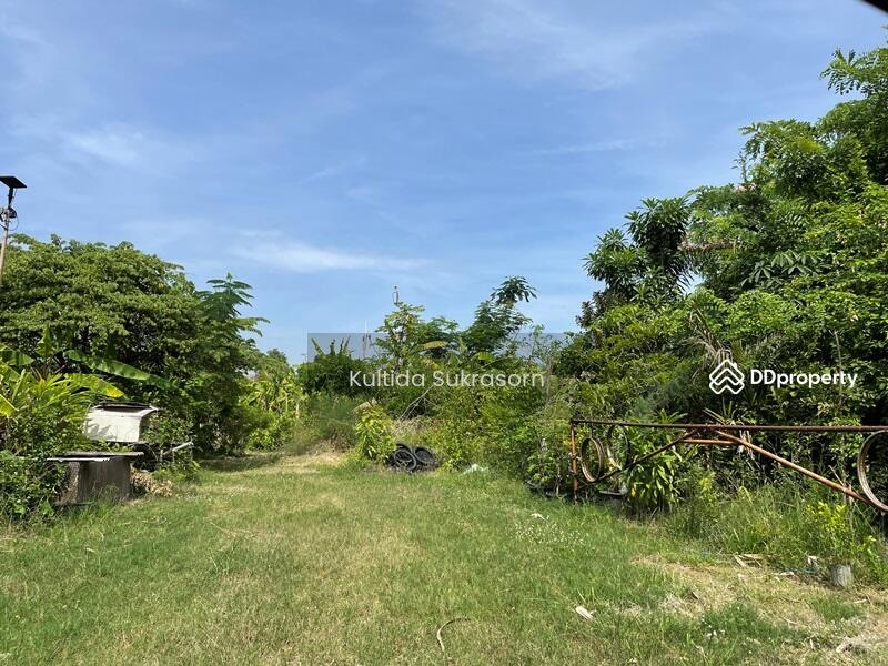 ที่ดิน สวย ติดน้ำ ติดถนน 2-3-0 ไร่  ต้นซอยพระเงิน ห่างกาญจนาเพียง 100 เมตร – รูปที่ 4
