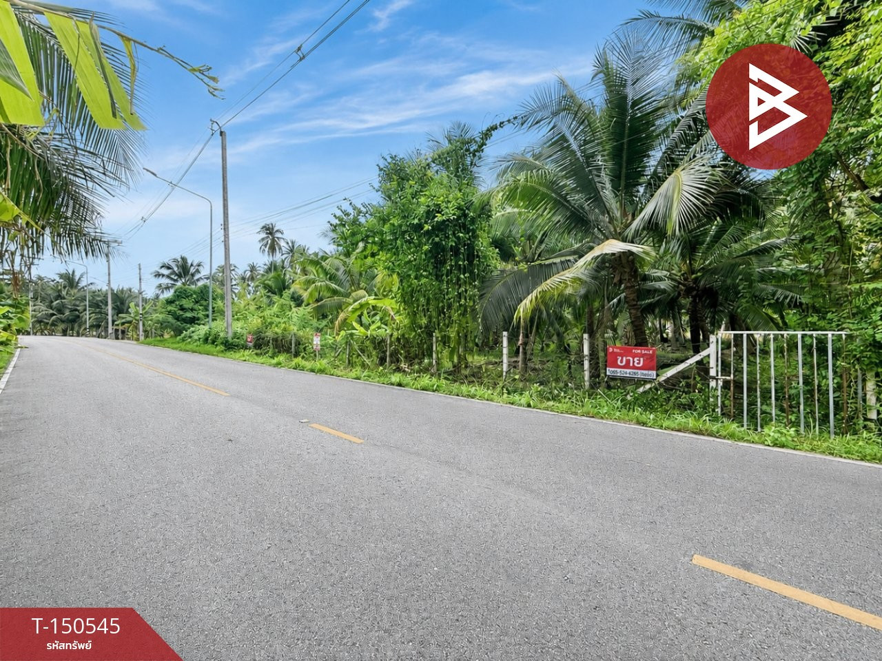 ขายที่ดิน เนื้อที่ 2 งาน 40 ตร.วา อัมพวา สมุทรสงคราม – รูปที่ 2