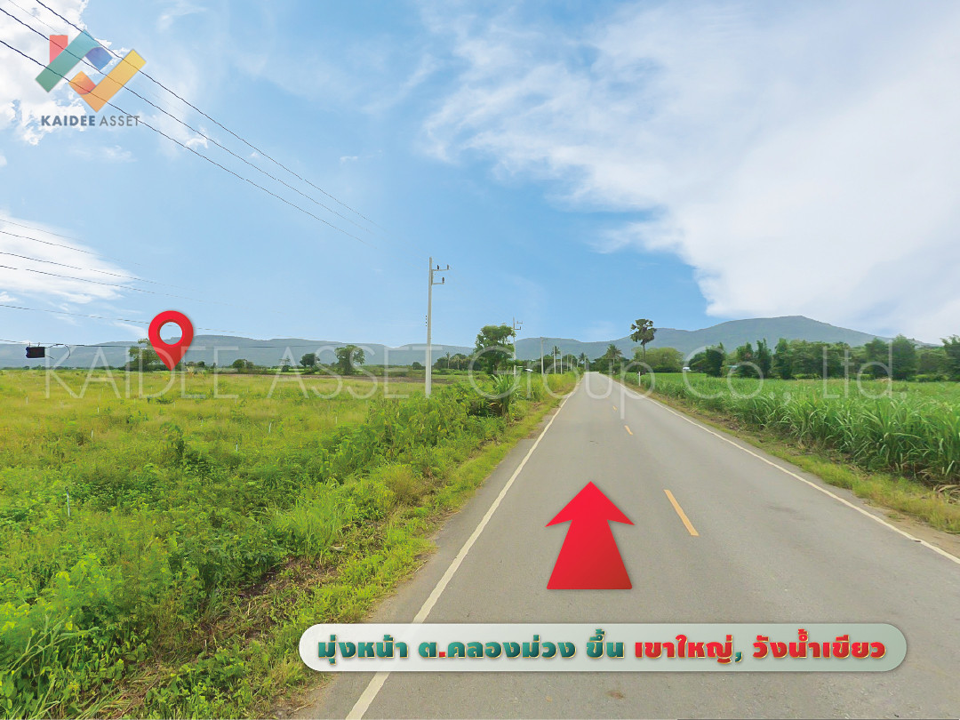 ที่ดิน วังไทร ปากช่อง ใกล้ เขาใหญ่ วังน้ำเขียว ราคาถูก – รูปที่ 4