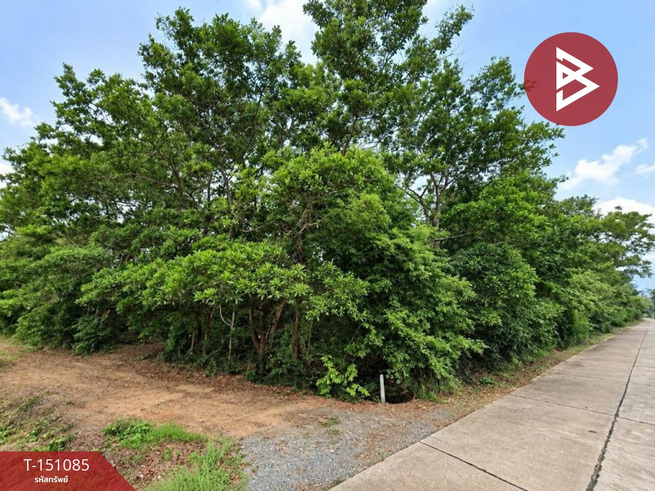 Land for sale, area 14 rai 2 ngan, Makham, Chanthaburi. – รูปที่ 3