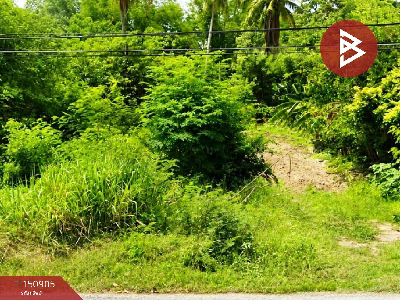 ขายที่ดิน 1 ไร่ 28 ตร.วา ติดถนนใหญ่ ต.บ่อทอง อ.ทองแสนขัน จ.อุตรดิตถ์ – รูปที่ 2