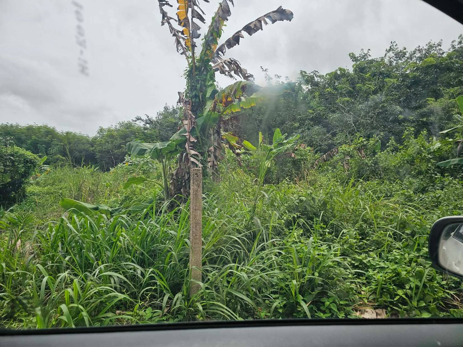 Selling very cheap!! 6 rai of land next to the road, good location, Tha Mai District, Chanthaburi Province, near Huai Sason intersection, approximately 1.7 km. – รูปที่ 2