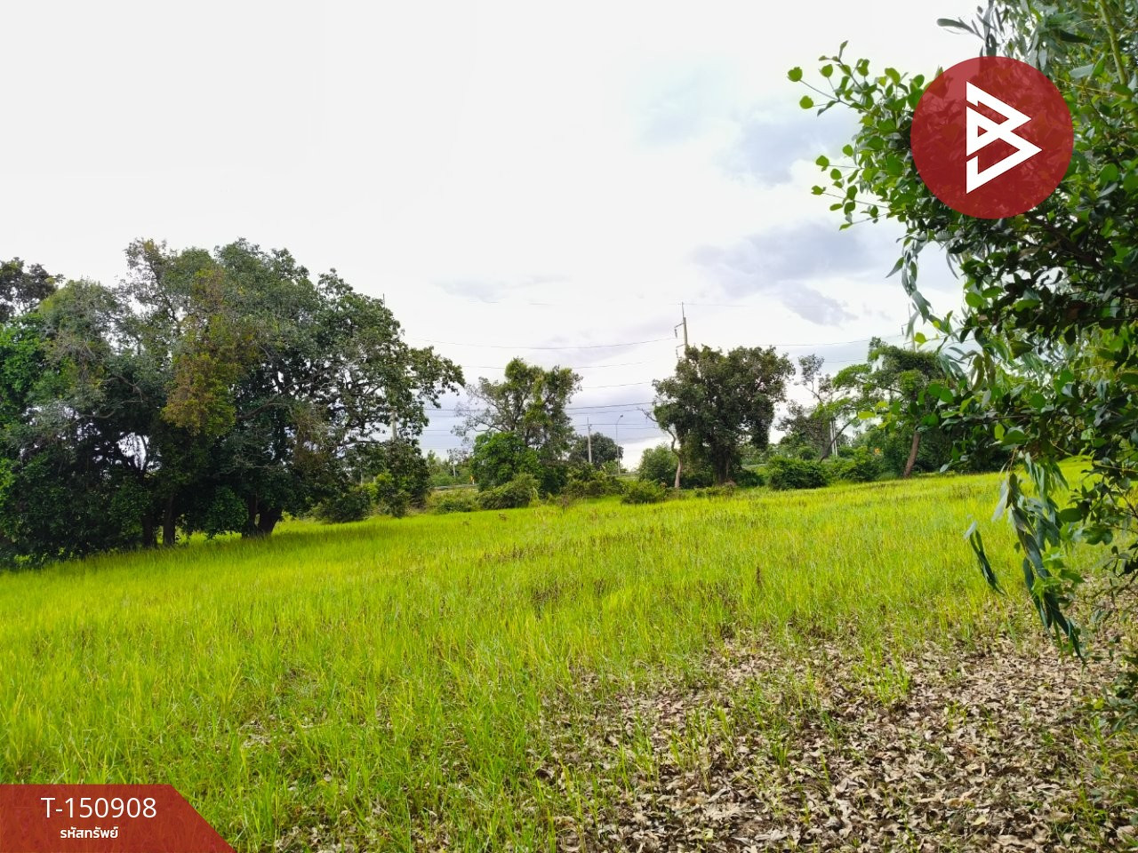 ขายที่ดิน เนื้อที่ 3 ไร่ 2 งาน ธวัชบุรี ร้อยเอ็ด – รูปที่ 3