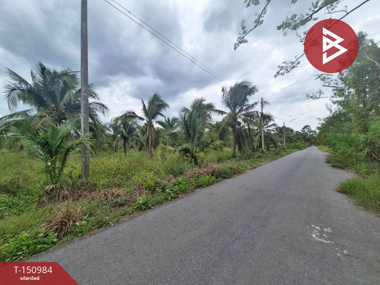 ขายที่ดิน เนื้อที่ 7 ไร่ 1 งาน 49.2 ตร.วา ลาดใหญ่ สมุทรสงคราม – รูปที่ 2