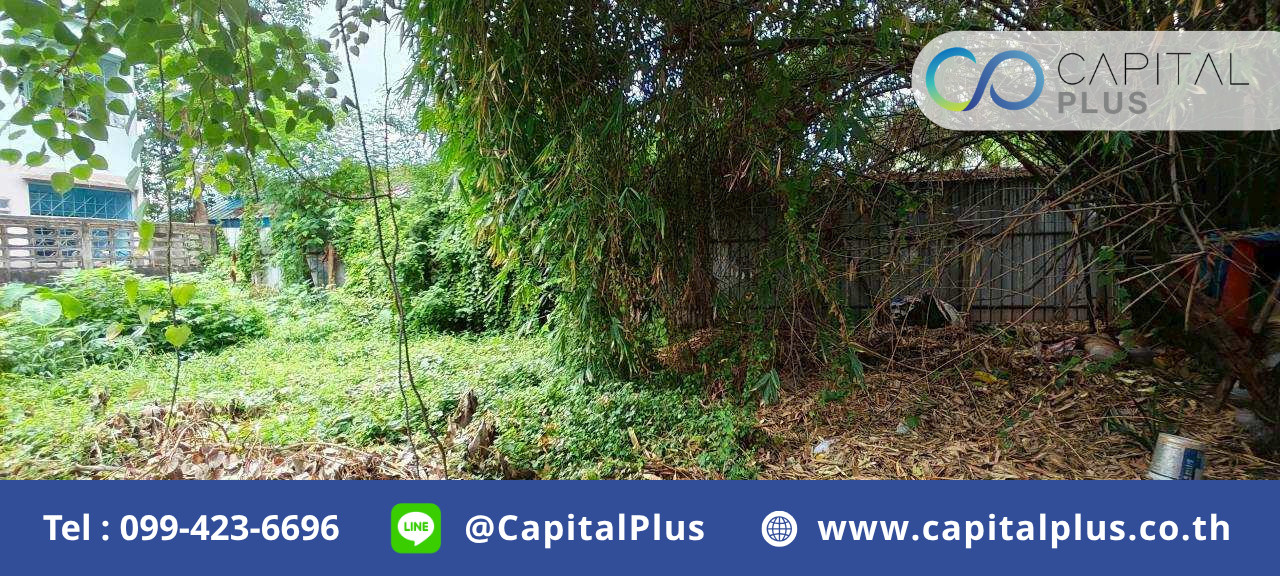 ขายที่ดินเปล่า ซอยสะแกงาม13 แยก2 ขนาด72ตร.ว.