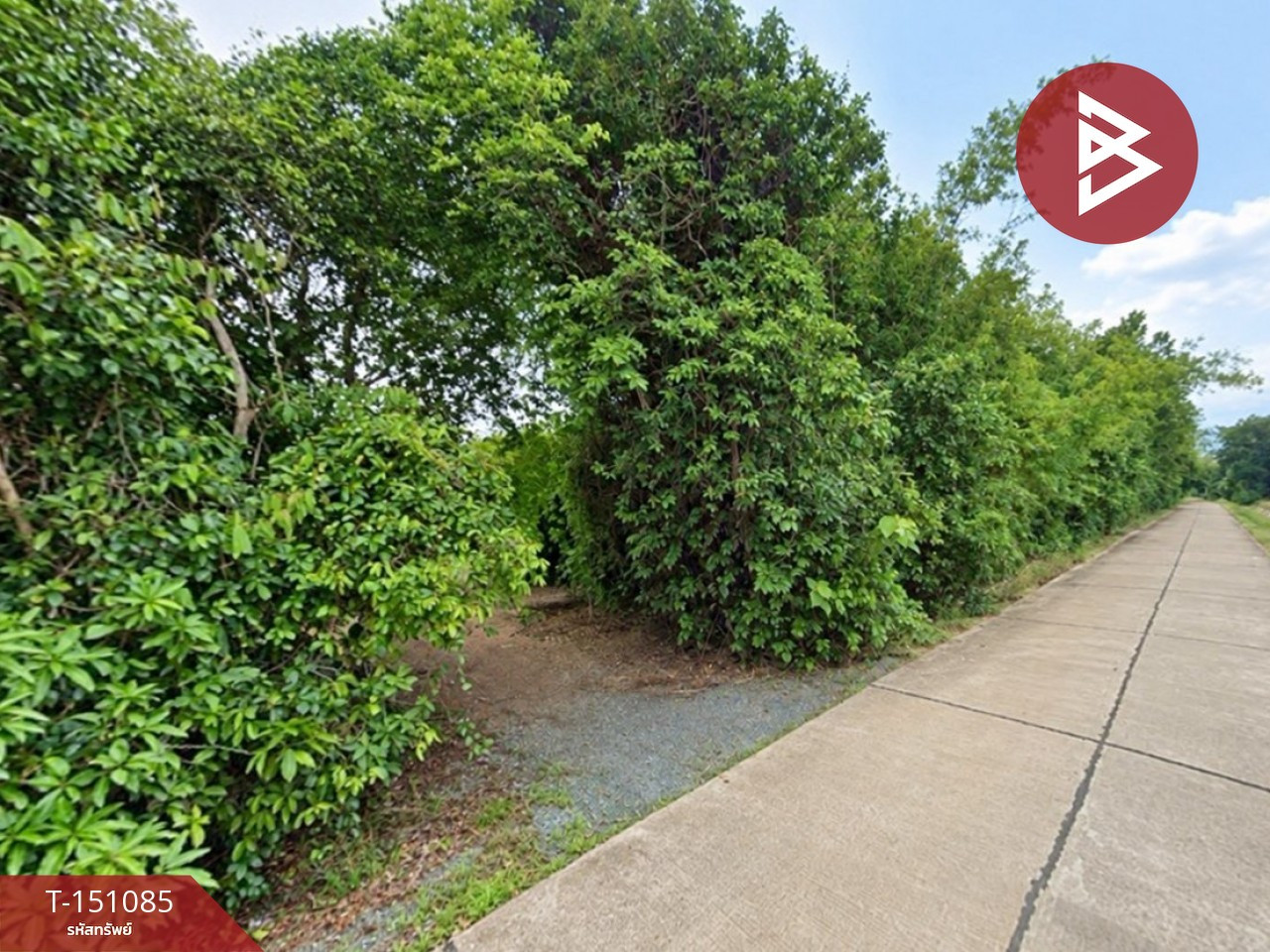Land for sale, area 14 rai 2 ngan, Makham, Chanthaburi. – รูปที่ 2