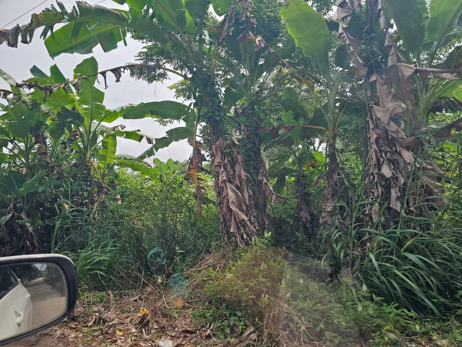 Selling very cheap!! 6 rai of land next to the road, good location, Tha Mai District, Chanthaburi Province, near Huai Sason intersection, approximately 1.7 km. – รูปที่ 3