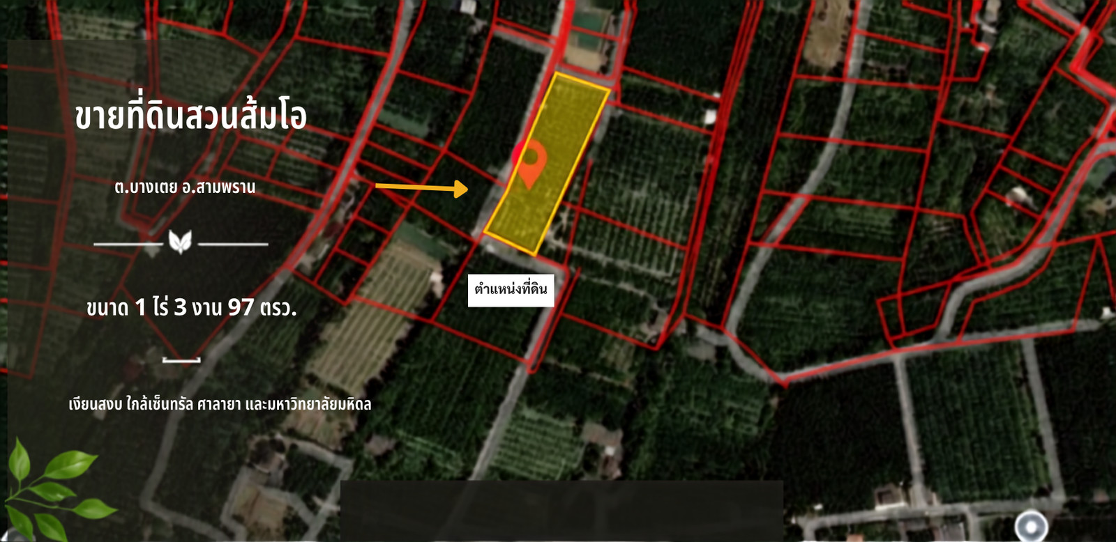 Don’t Miss This! Great Price!! Beautiful Pomelo Orchard Land for Sale Beautiful land with an existing pomelo orchard, totaling 1 Rai 3 Ngan 97 Sq.Wah (797 Sq.Wah). Don’t Miss This! Great Price!! Beautiful Pomelo Orchard Land for Sale Beautiful land with an existing pomelo orchard, totaling 1 Rai 3 Ngan 97 Sq.Wah (797 Sq.Wah).