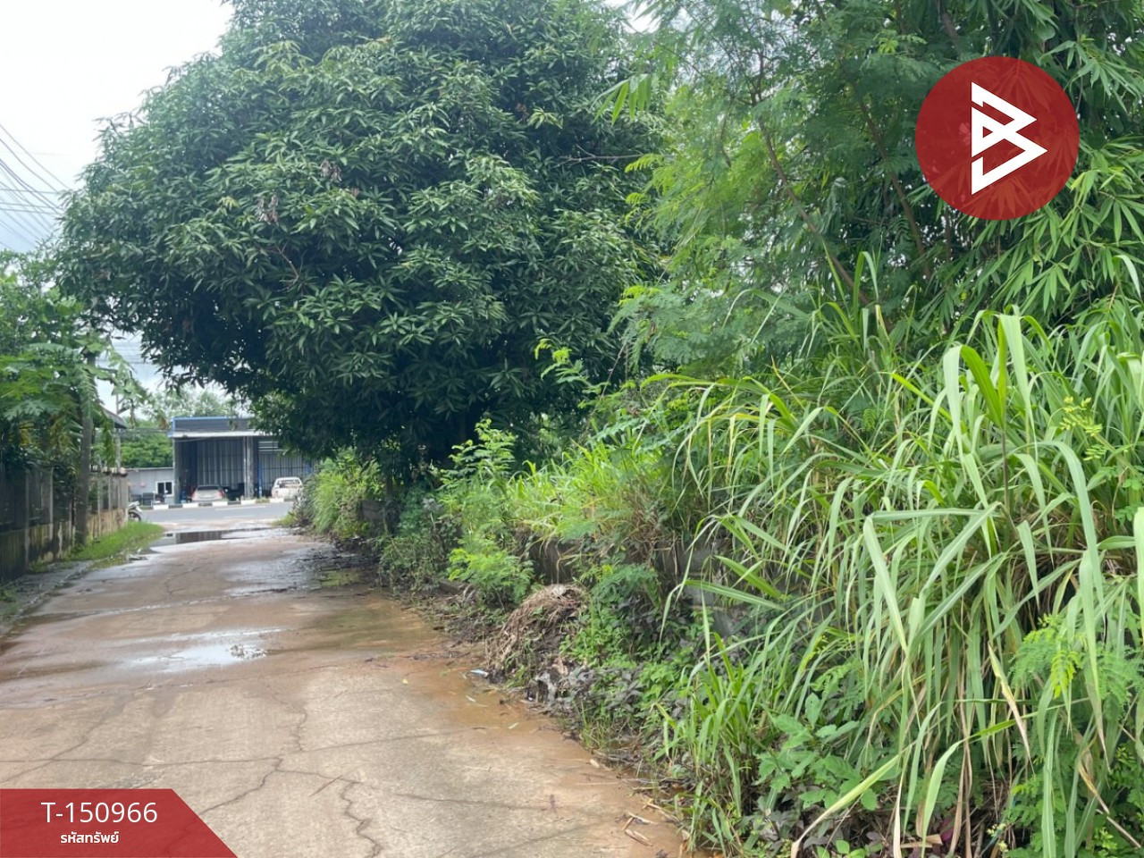 ขายที่ดิน เนื้อที่ 88.2 ตร.วา บุ่ง อำนาจเจริญ – รูปที่ 3