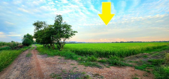 ขายที่ดินคลอง 22 องครักษ์ นครนายก ใกล้ถนนสี่เลนหมายเลข 3001***ราคาขาย 1.2 ล้านบาท*** ( มีเนื้อที่ 8-2-75.2 ไร่ )ขายที่ดินองครักษ์ คลอง 22 ใกล้ถนนสี่เลนหมายเลข 3001 เป็นที่นา เหมาะซื้อไว้ทำแปลงแบ่งขาย ทำการเกษตร ร้านอาหาร คาเฟ่ ซื้อเก็บเก็งกำไรได้ที่ตั้ง : – รูปที่ 2