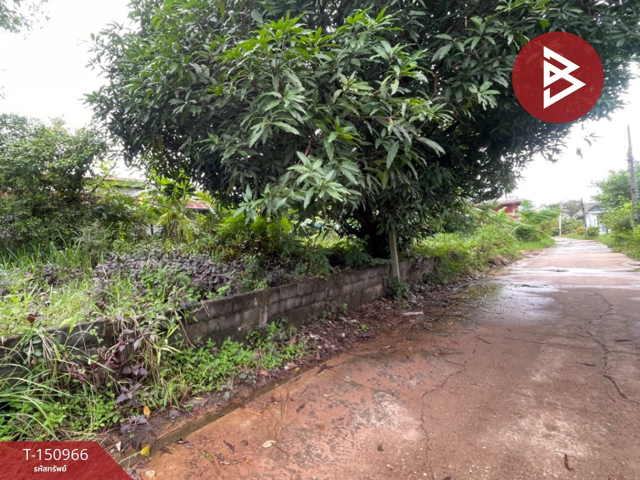 ขายที่ดิน เนื้อที่ 88.2 ตร.วา บุ่ง อำนาจเจริญ – รูปที่ 2
