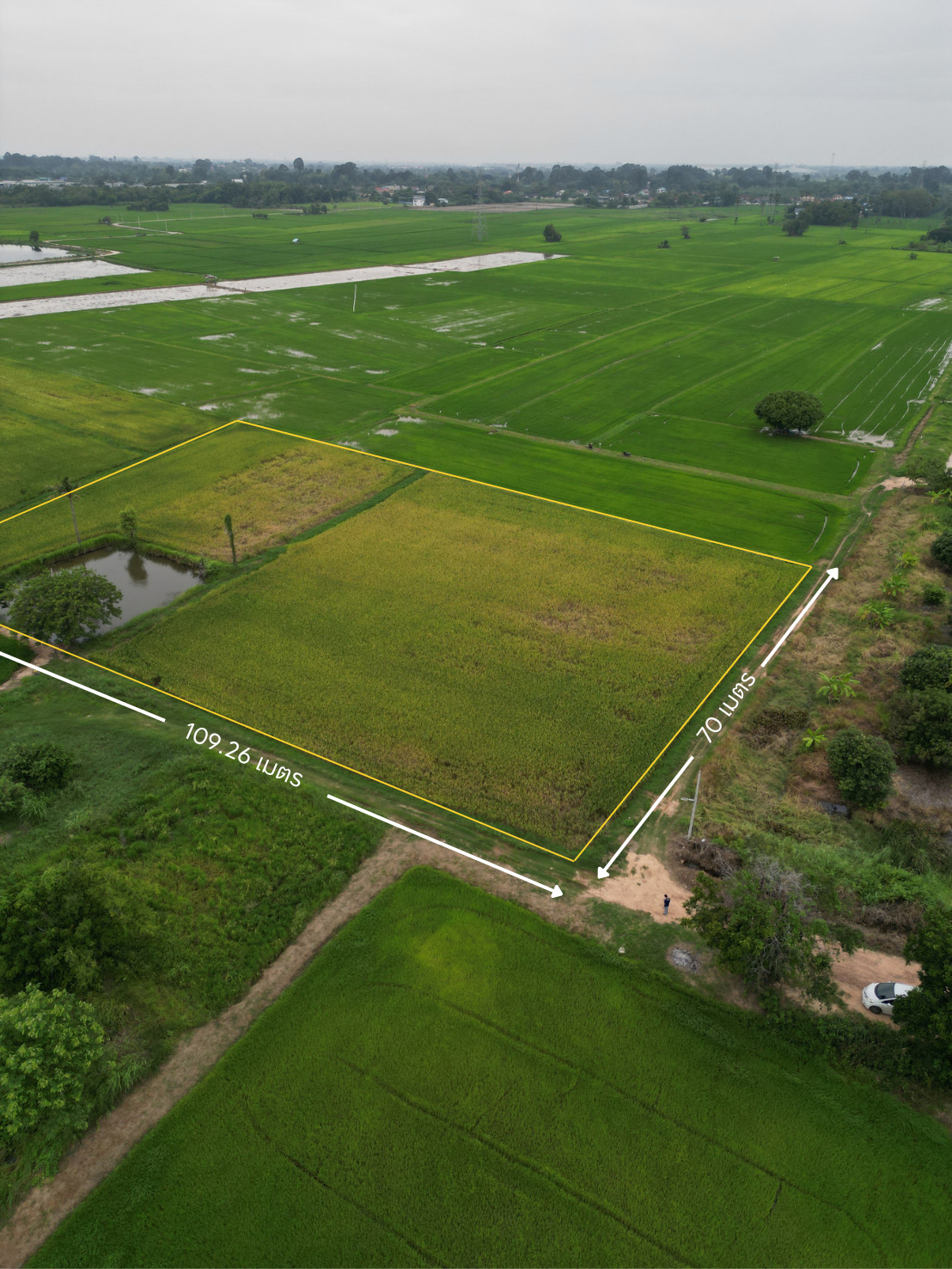 ขายที่ดิน 4 ไร่ 399 ตรว. ทำเลปากโทก – รูปที่ 2