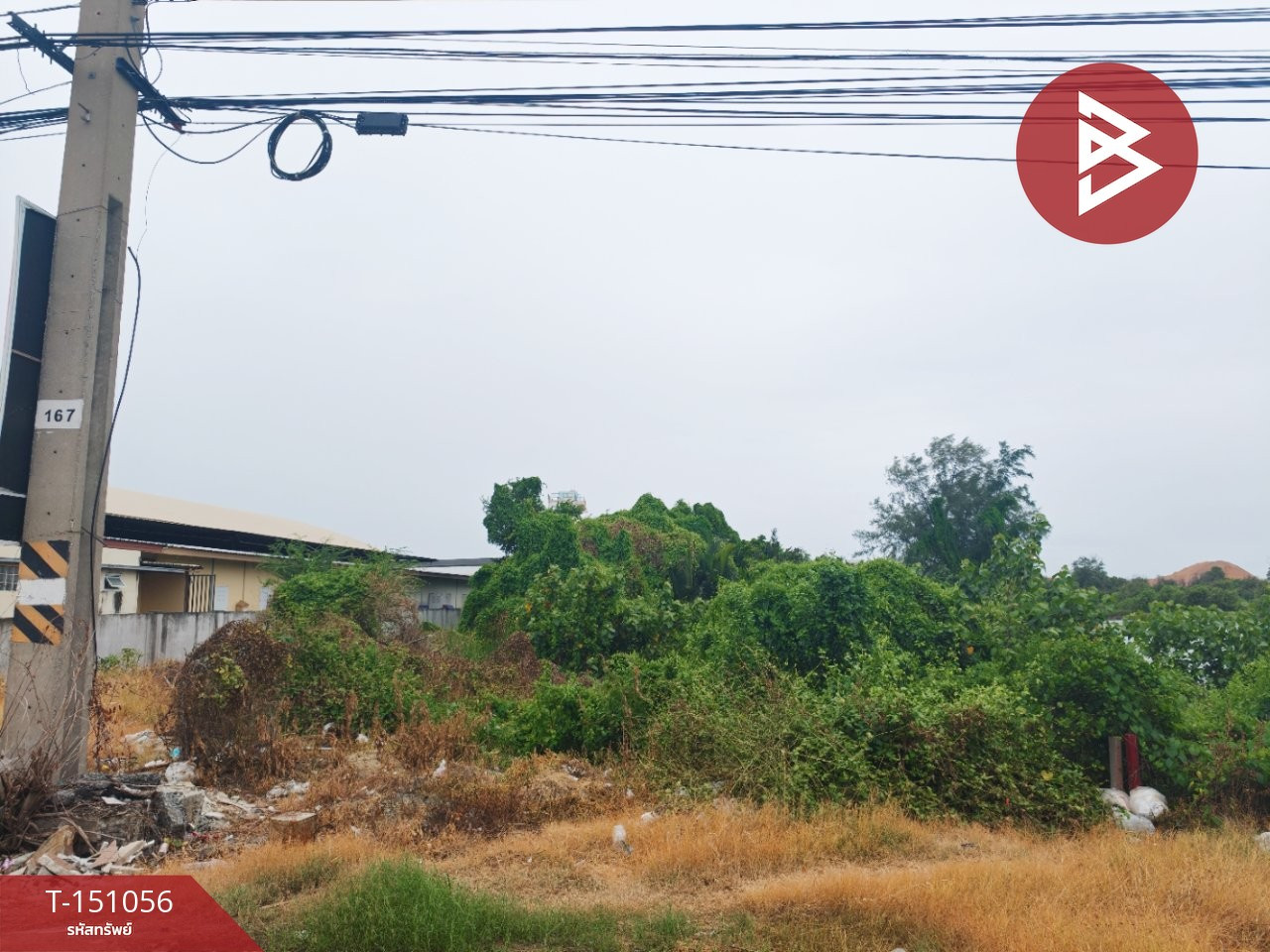 Land for sale, 1 rai 91 square wah, Bang Pakong, Chachoengsao. – รูปที่ 3