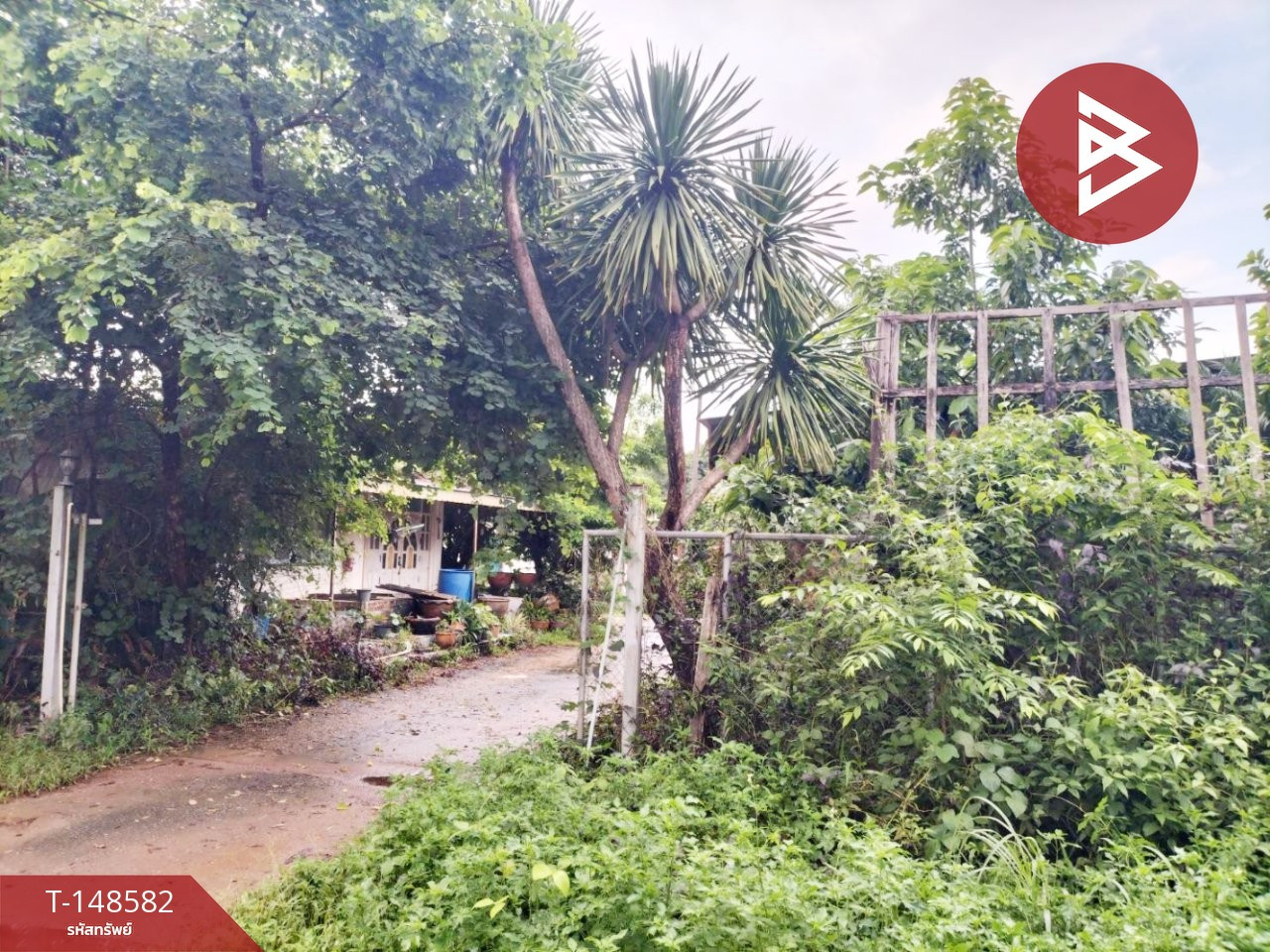 Land for sale, area 51 rai 2 ngan 22.9 sq m, Wisit, Bueng Kan. – รูปที่ 4