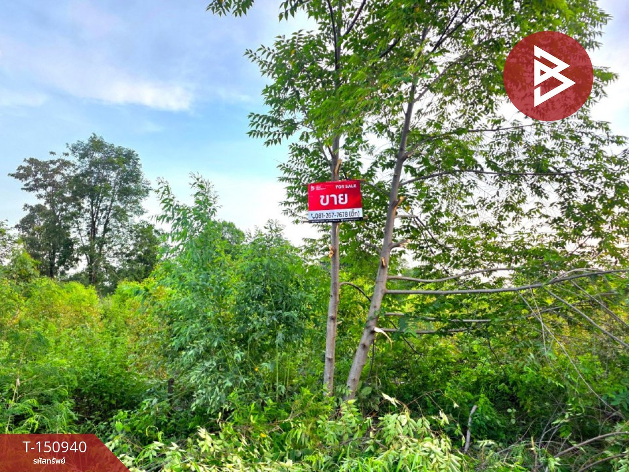 Land for sale, area 4 rai 62 sq m, Borabue, Maha Sarakham. Land for sale, area 4 rai 62 sq m, Borabue, Maha Sarakham.