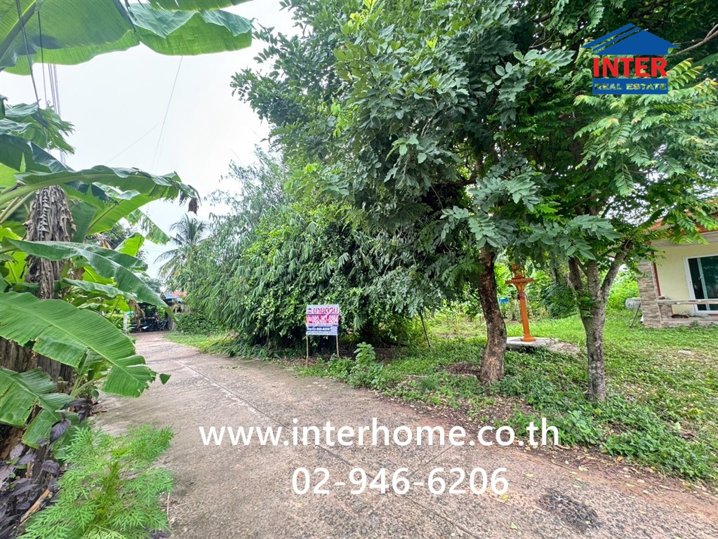 ที่ดินเปล่า 258 ตร.ว. หมูบ้านกระสัง บ้านบัว บ้านลำดวน ถนนบุรีรัมย์-นางรอง 218 ถนนบ้านบัว-กระสัง ใกล้โรบินสัน บุรีรัมย์ บิ๊กซี เมืองบุรีรัมย์ บุรีรัมย์ ที่ดินเปล่า 258 ตร.ว. หมูบ้านกระสัง บ้านบัว บ้านลำดวน ถนนบุรีรัมย์-นางรอง 218 ถนนบ้านบัว-กระสัง ใกล้โรบินสัน บุรีรัมย์ บิ๊กซี เมืองบุรีรัมย์ บุรีรัมย์