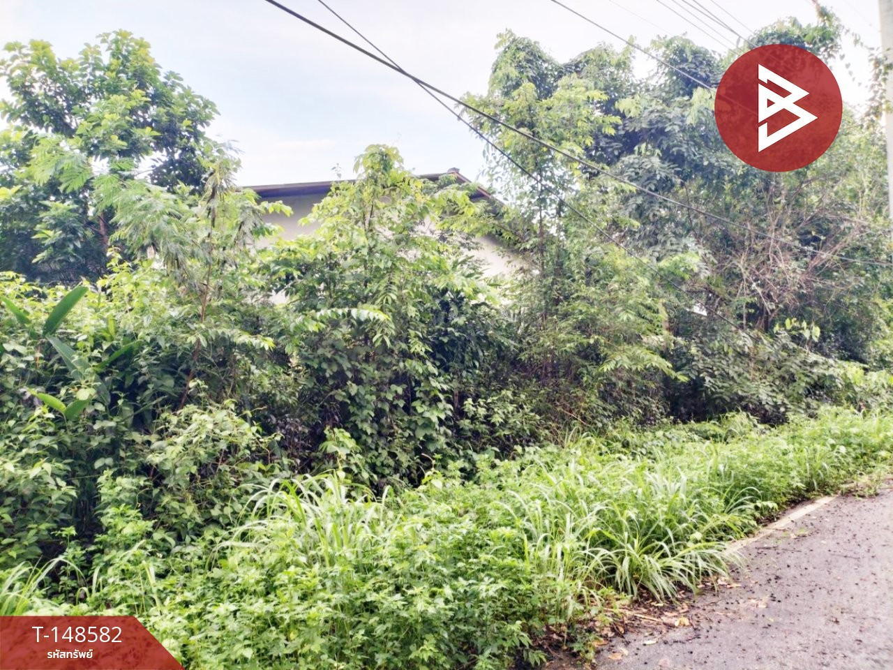 Land for sale, area 51 rai 2 ngan 22.9 sq m, Wisit, Bueng Kan. – รูปที่ 3