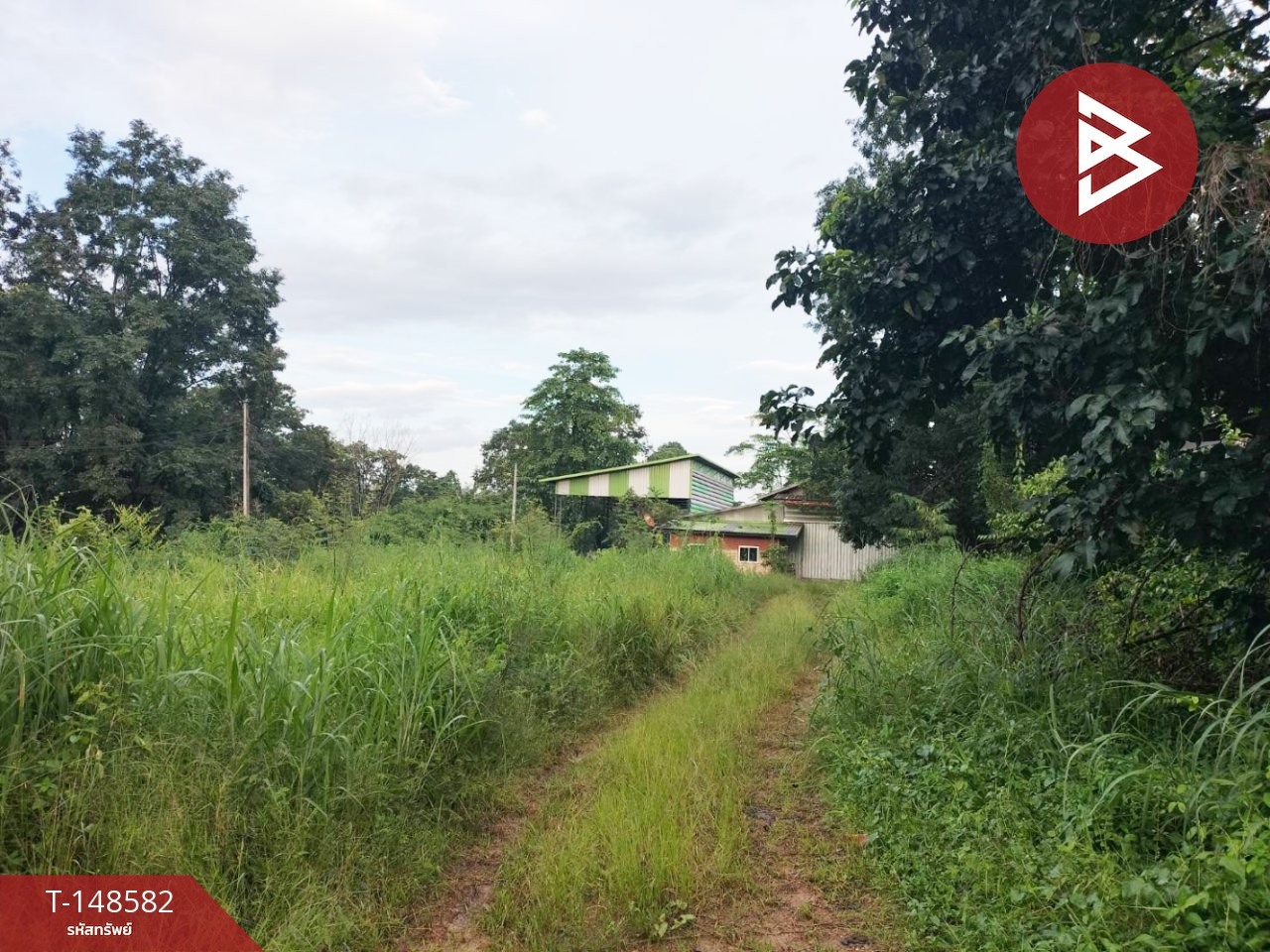 Land for sale, area 51 rai 2 ngan 22.9 sq m, Wisit, Bueng Kan. Land for sale, area 51 rai 2 ngan 22.9 sq m, Wisit, Bueng Kan.