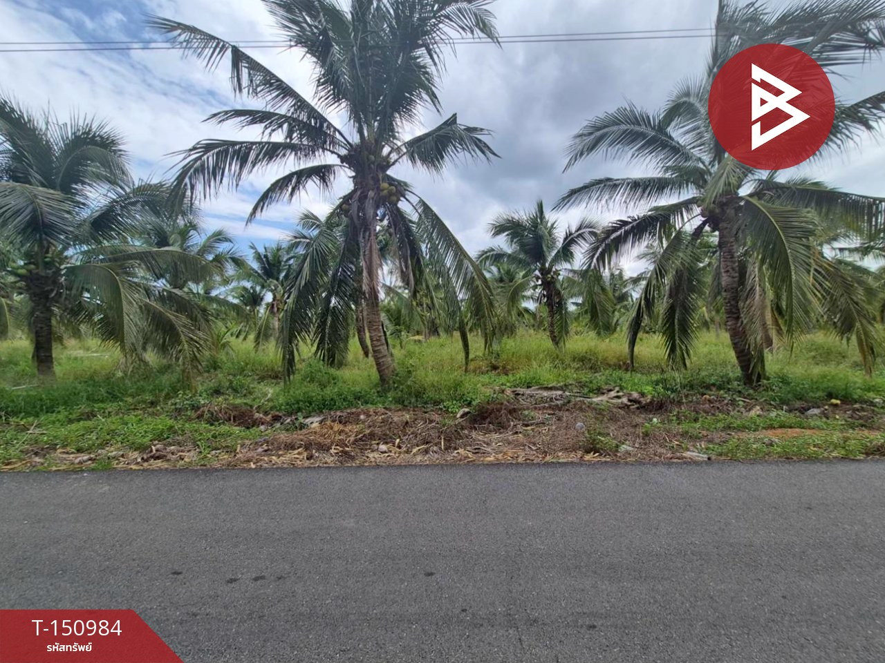 ขายที่ดิน เนื้อที่ 7 ไร่ 1 งาน 49.2 ตร.วา ลาดใหญ่ สมุทรสงคราม – รูปที่ 4