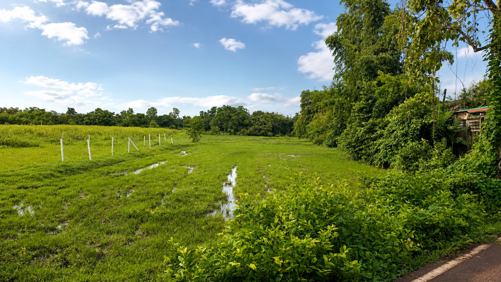 Land for Sale in Muang Subdistrict, Ban Muang, Sakon Nakhon | 18,076.40 sqm Land for Sale in Muang Subdistrict, Ban Muang, Sakon Nakhon | 18,076.40 sqm