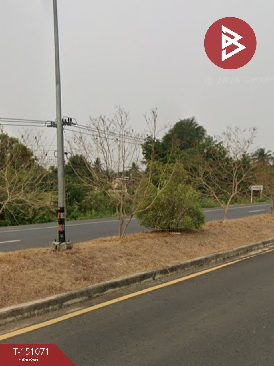 ขายบ้านเดี่ยวพร้อมที่ดิน เนื้อที่ 3 งาน 80 ตร.วา ปราสาท สุรินทร์ – รูปที่ 3