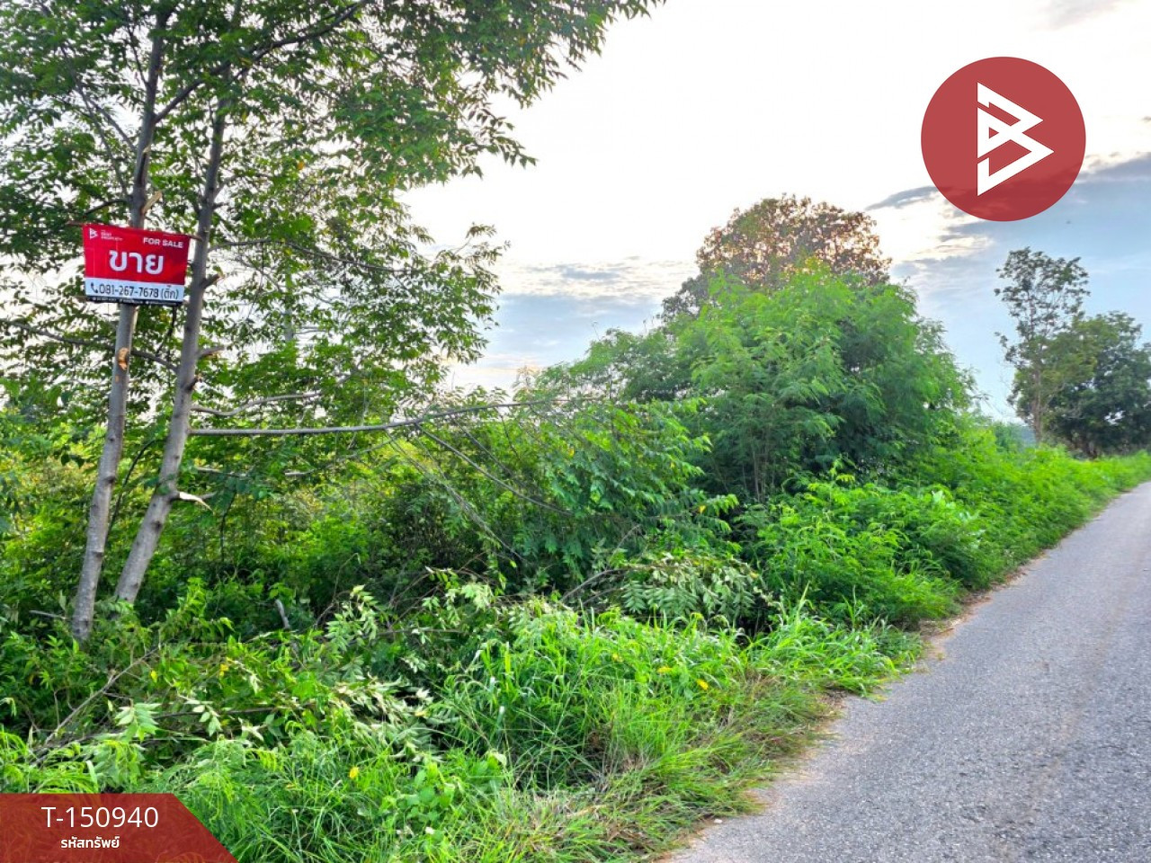 ขายที่ดิน เนื้อที่ 4 ไร่ 62 ตร.วา บรบือ มหาสารคาม – รูปที่ 2