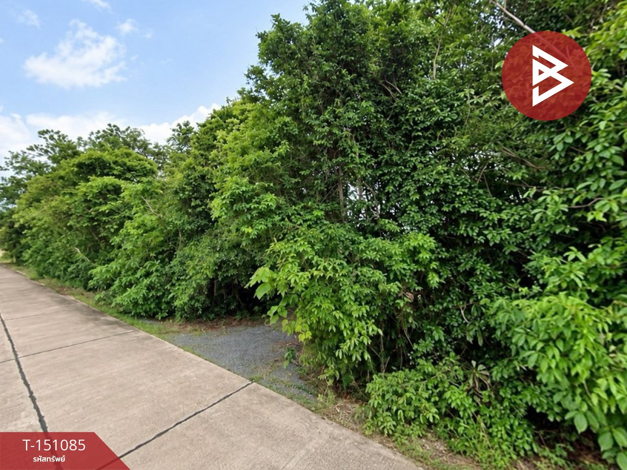 Land for sale, area 14 rai 2 ngan, Makham, Chanthaburi. – รูปที่ 4
