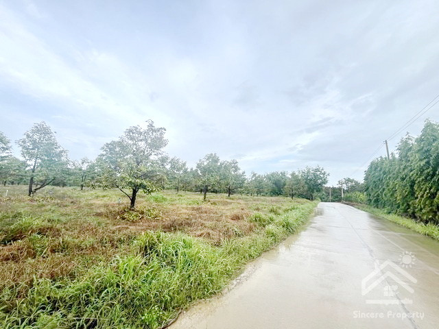 Durian orchard for sale, Chamang Subdistrict, Makham District, investment opportunity in durian orchard, Chanthaburi, area over 20 rai. – รูปที่ 3
