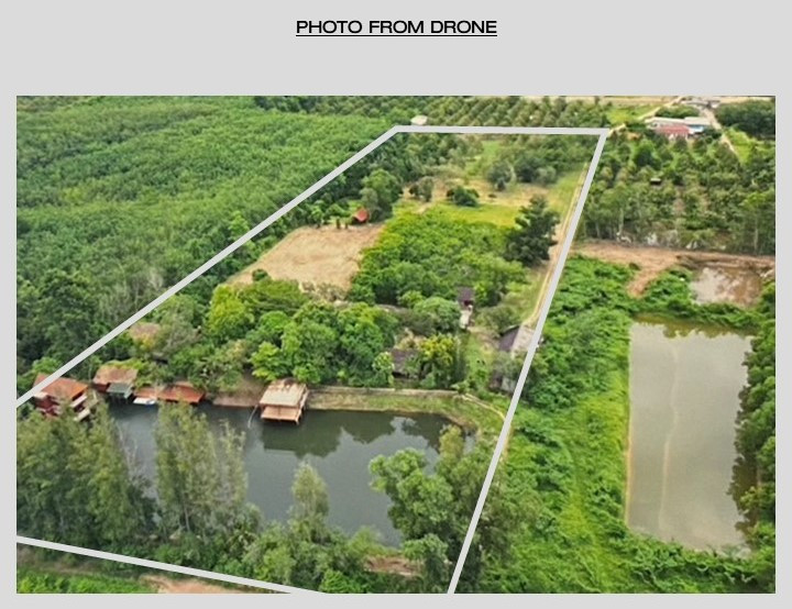 Rare land for sale! 21 rai with fruit orchard Natural water source and 10 houses – รูปที่ 3
