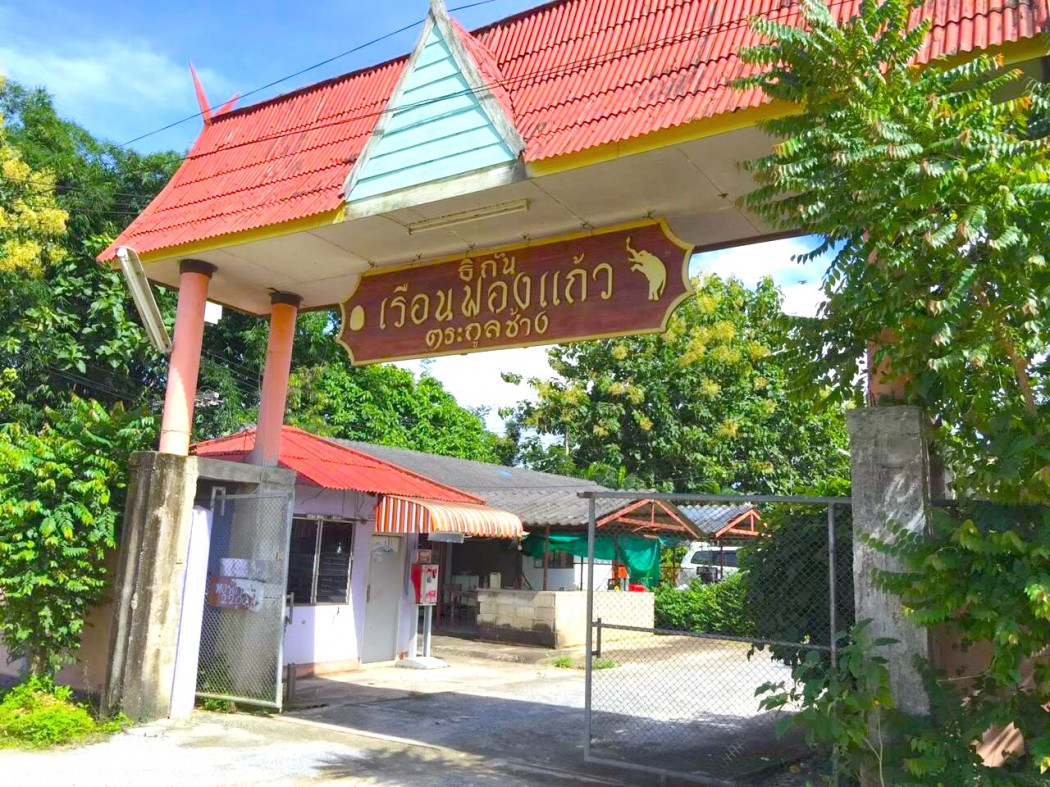 ขาย หอพัก อ.พาน เชียงราย  4 ไร่กว่า พร้อมดำเนินกิจการต่อ ใกล้ถนนพหลโยธิน เพียง 150 เมตร – รูปที่ 2