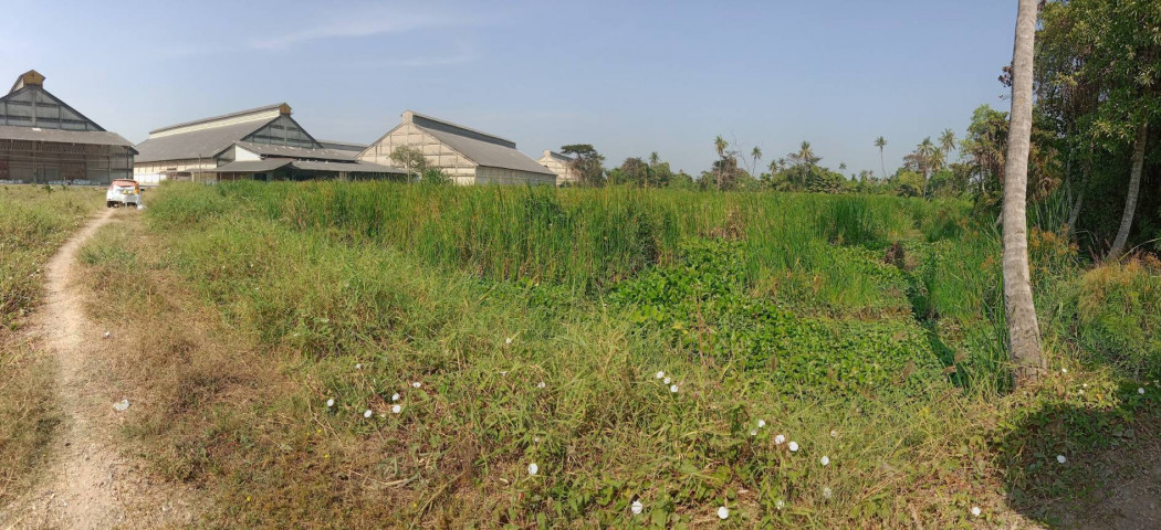 ขาย ที่ดิน เพชรเกษม พุทธมณฑลสาย 7 ติดริมแม่น้ำ เหมาะสร้างหมู่บ้าน 39 ไร่ – รูปที่ 3