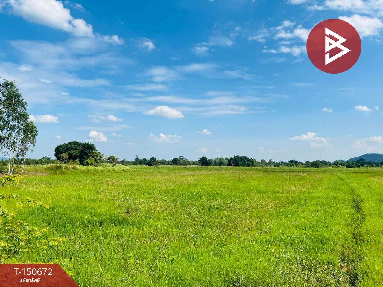 Land for sale, area 16 rai 1 ngan 34 sq m, Takhli, Nakhon Sawan. – รูปที่ 4