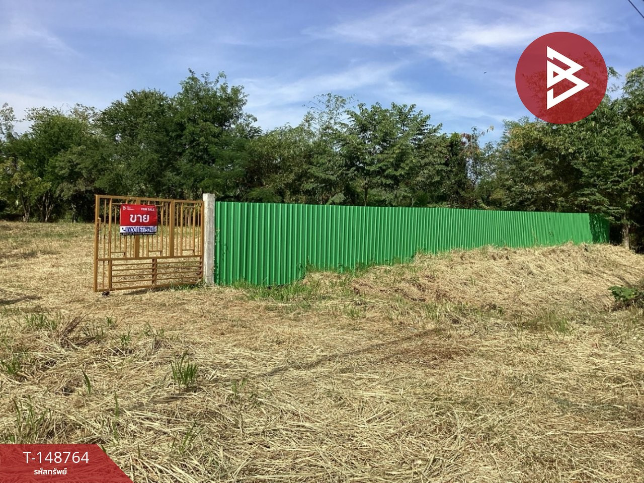 Land for sale, area 4 rai 3 ngan 75 sq m, Kaeng Khoi, Saraburi.