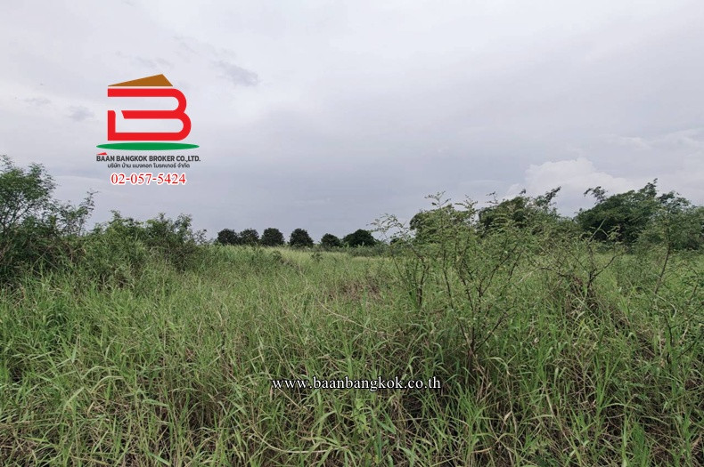 ที่ดินเปล่าจัดสรร ฉลองกรุงการ์เด้น (ซอยวัดอู่ตะเภา) เนื้อที่ 1-0-22.5 ไร่ แขวงลำผักชี เขตหนองจอก – รูปที่ 3