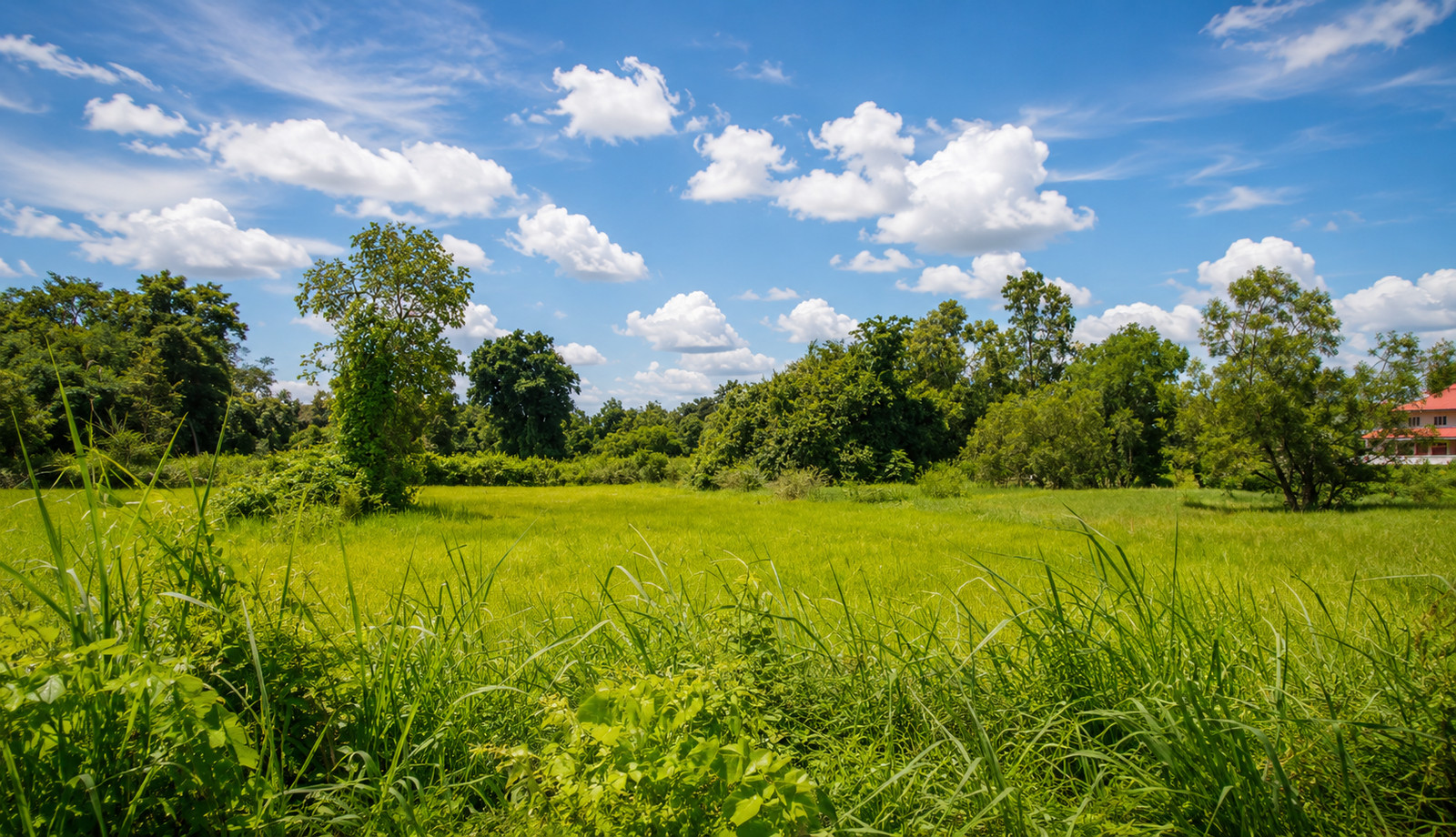 Land for Sale in Muang Subdistrict, Ban Muang, Sakon Nakhon | 18,076.40 sqm – รูปที่ 3