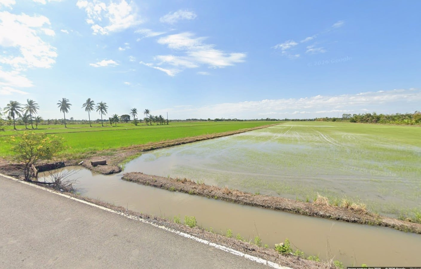 ขายที่ดินหนองจอก 81-1-8.4 ไร่ (แบ่งขายได้ โฉนดละ 40 ไร่) ใกล้วัดใหม่เจริญราษฎร์ – รูปที่ 3
