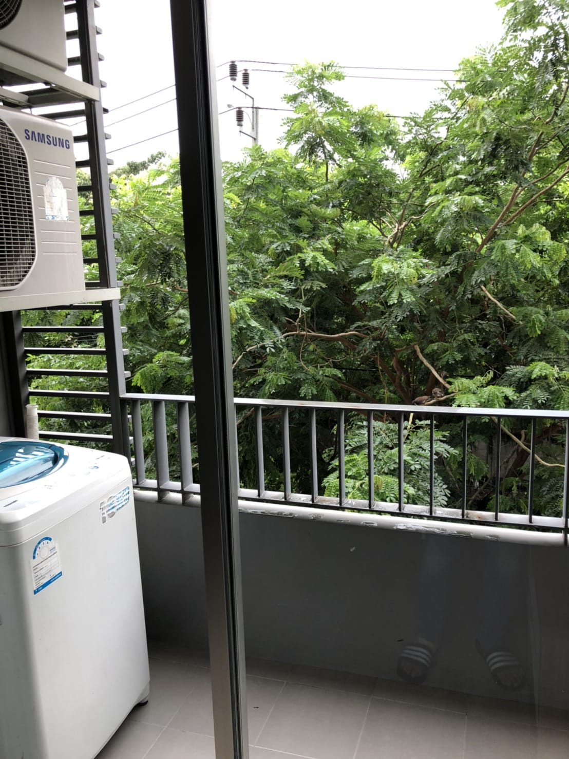 ✨ ขายพร้อมผู้เช่า | 1 ห้องนอน | ราคาดี เหมาะสำหรับลงทุน 📍 Elio Sukhumvit 64 – รูปที่ 3
