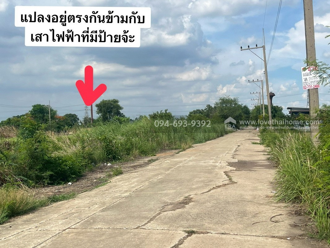 ขายที่ดิน ถนนรังสิต-นครนายก คลอง12 หนองเสือ ปทุมธานี พื้นที่ 200 ตรว. ขาย 6,000 บาท/ตรว. ติดถนนสาธารณะ หน้ากว้าง 36 x 24 เมตร "คุ้มมาก" ด่วนๆค่ะ – รูปที่ 2