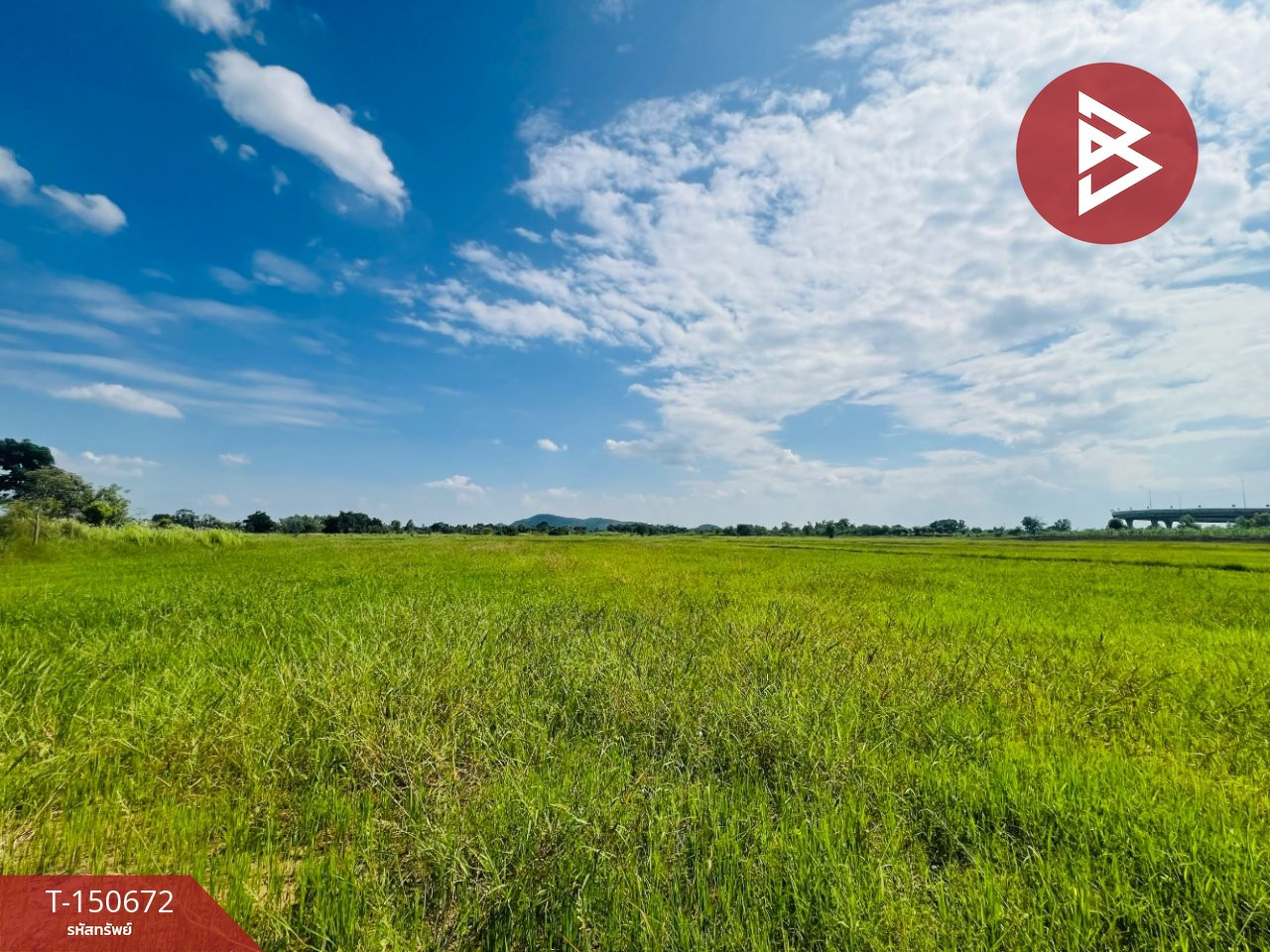 Land for sale, area 16 rai 1 ngan 34 sq m, Takhli, Nakhon Sawan. – รูปที่ 3