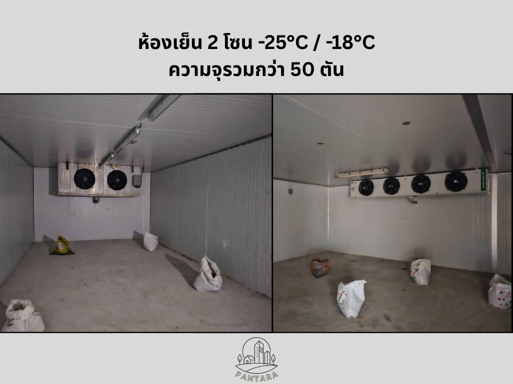 Land with Food Processing Factory Building and Cold Storage for Sale in Ban Chang, Rayong – รูปที่ 3