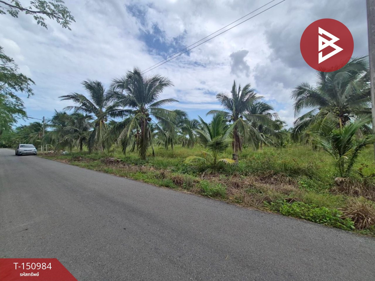 ขายที่ดิน เนื้อที่ 7 ไร่ 1 งาน 49.2 ตร.วา ลาดใหญ่ สมุทรสงคราม – รูปที่ 3