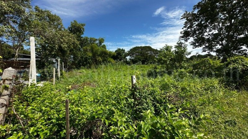Land in Ban Pathum, Sam Khok, good location, next to a public road, already filled, close to development. – รูปที่ 3